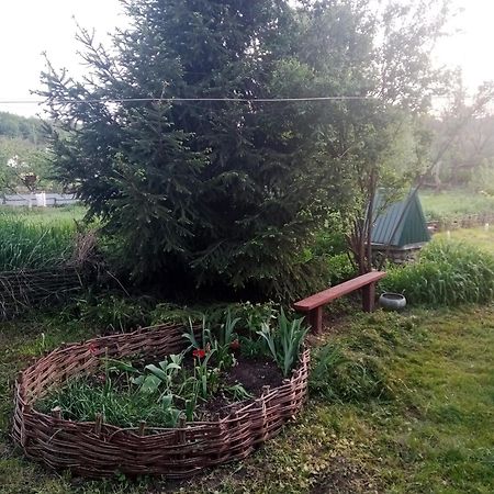 Дибинецькі Карпати Dybintsy 外观 照片