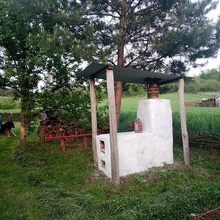 Дибинецькі Карпати Dybintsy 外观 照片