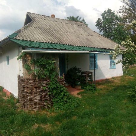 Дибинецькі Карпати Dybintsy 外观 照片