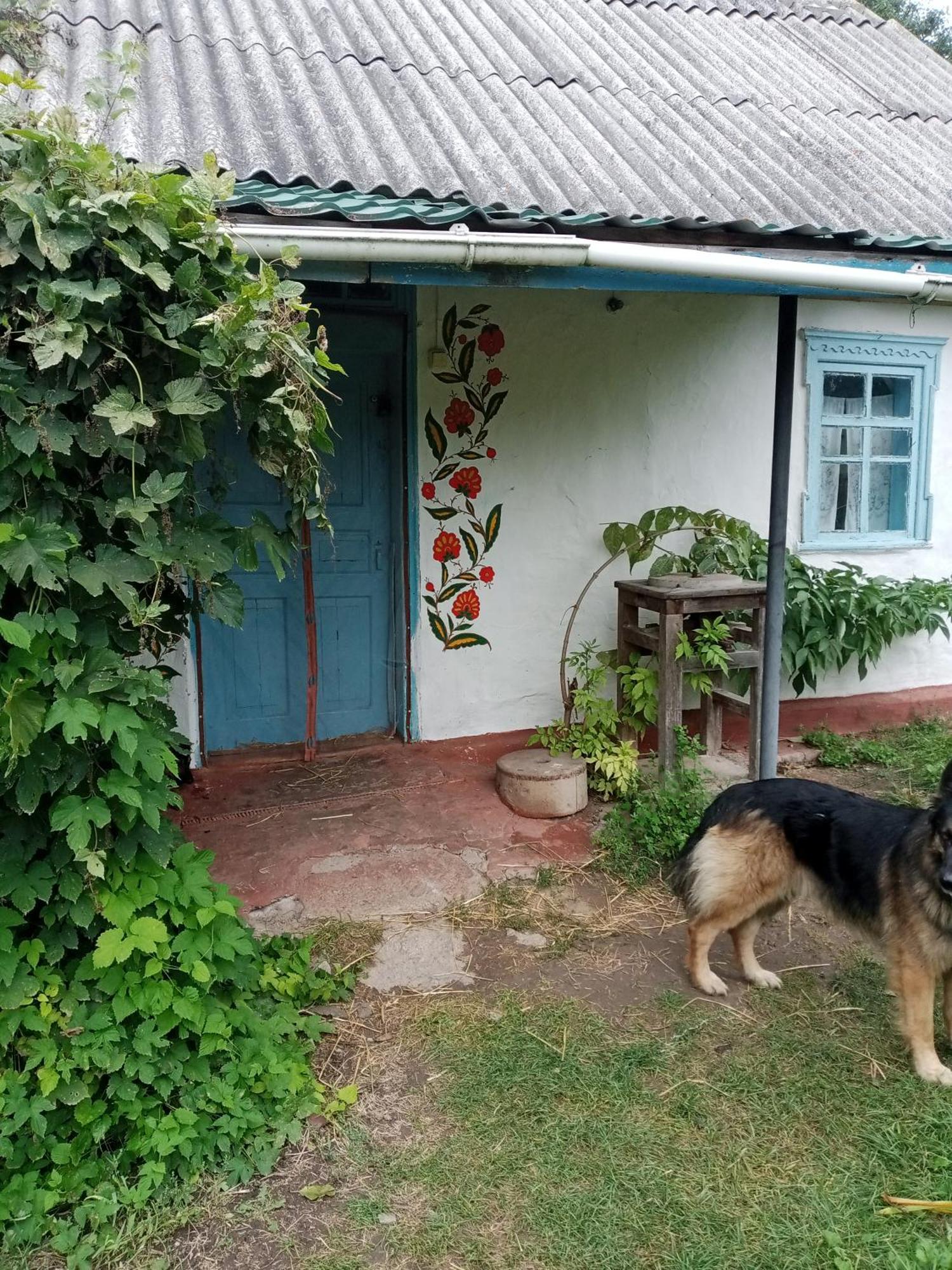 Дибинецькі Карпати Dybintsy 外观 照片
