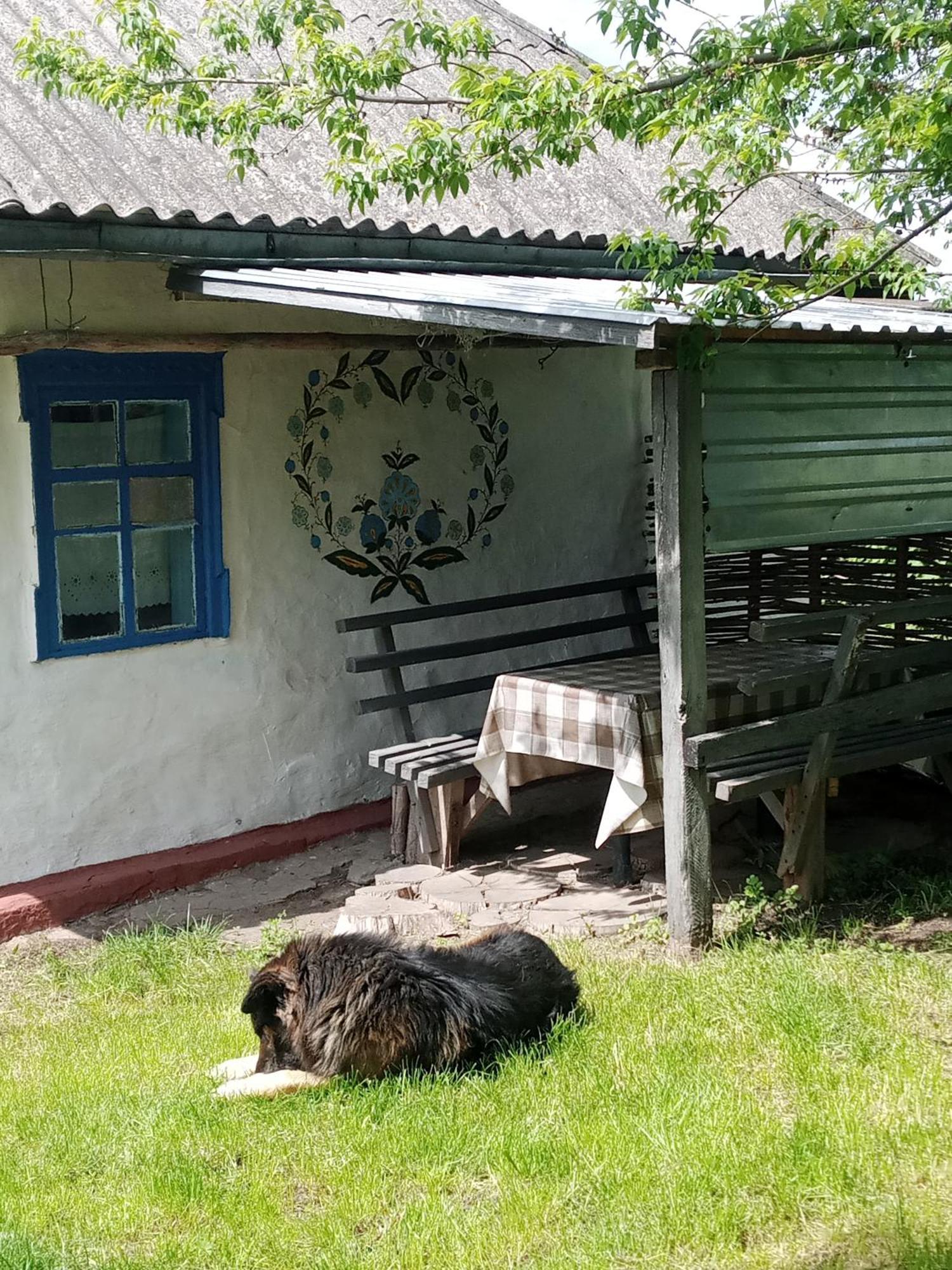 Дибинецькі Карпати Dybintsy 外观 照片