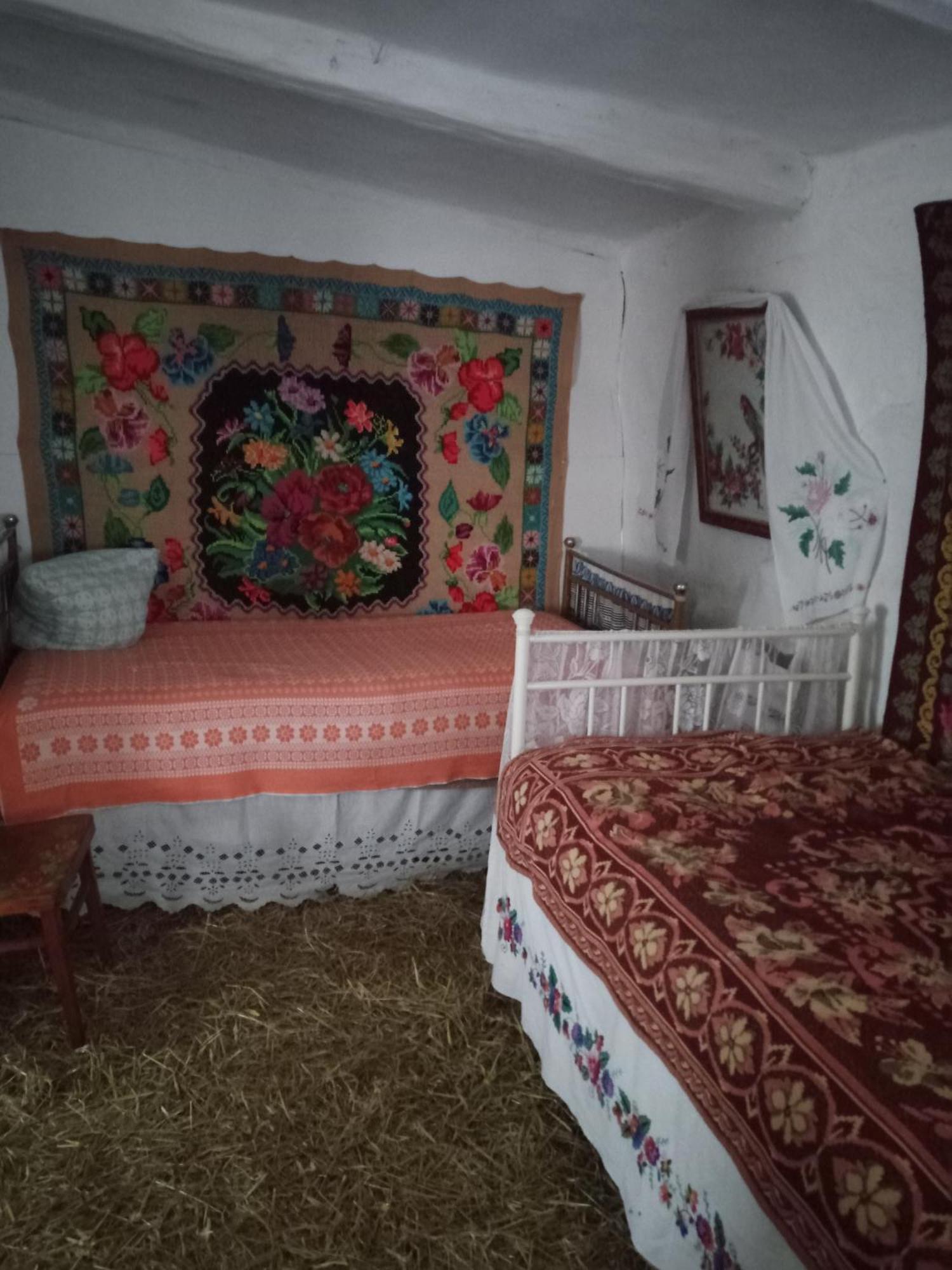 Дибинецькі Карпати Dybintsy 外观 照片