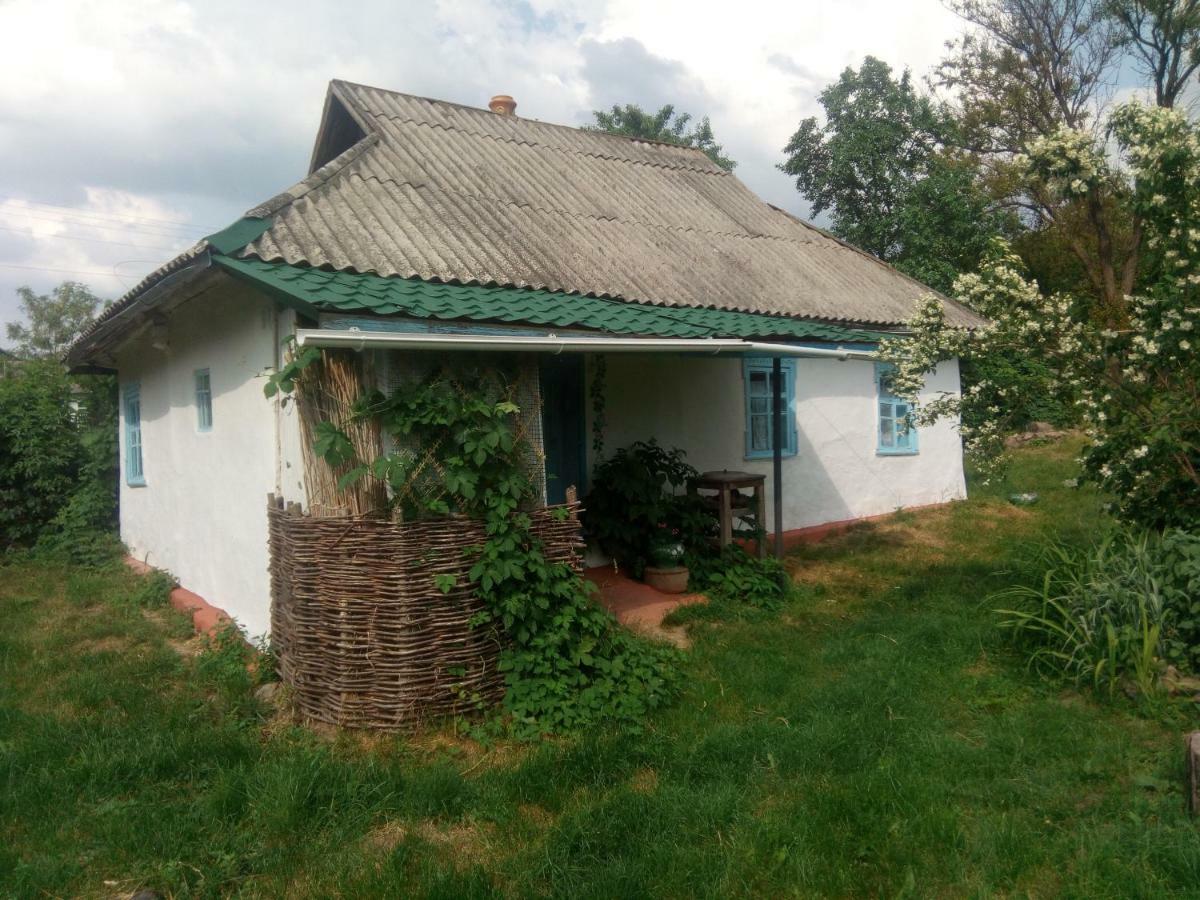 Дибинецькі Карпати Dybintsy 外观 照片
